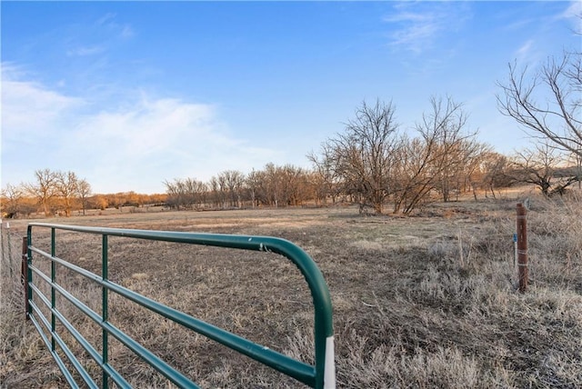 view of yard with a rural view