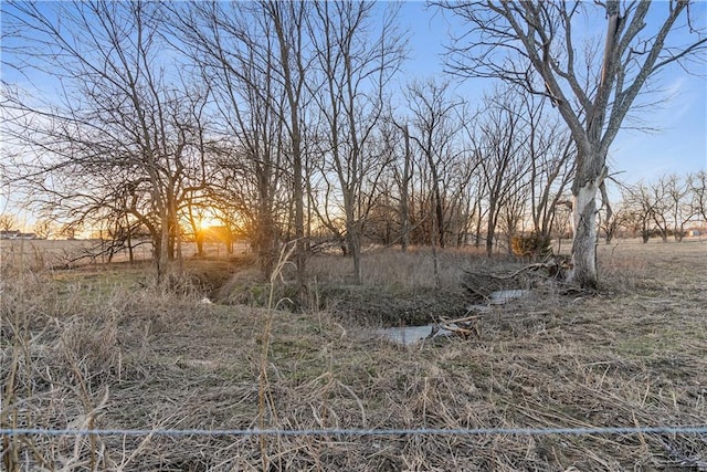 nature at dusk with a rural view