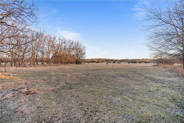 view of yard featuring a rural view