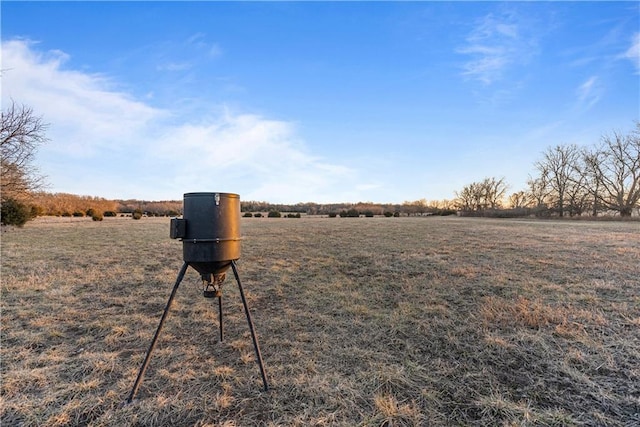 view of yard featuring a rural view