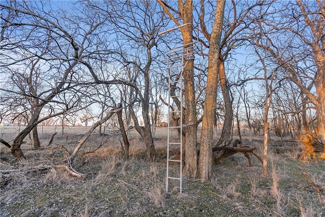 view of landscape featuring a rural view