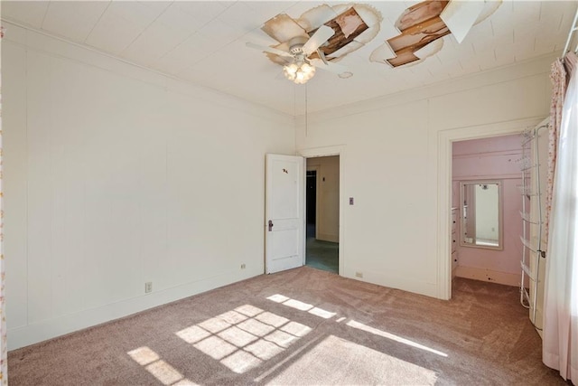 unfurnished bedroom featuring ceiling fan, ornamental molding, and carpet flooring