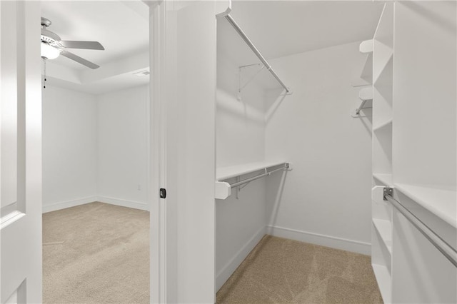 walk in closet featuring ceiling fan and light carpet