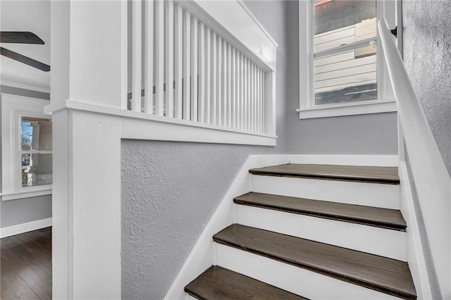 stairway with hardwood / wood-style flooring and a healthy amount of sunlight