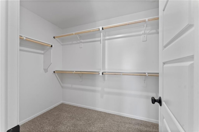 walk in closet with carpet floors