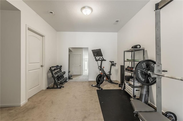 exercise area featuring light carpet