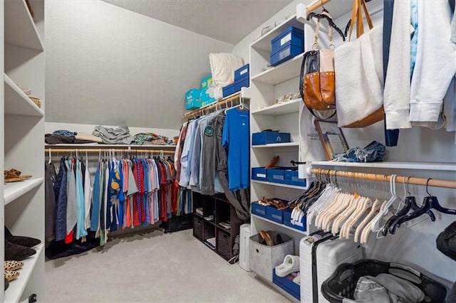 spacious closet with light colored carpet