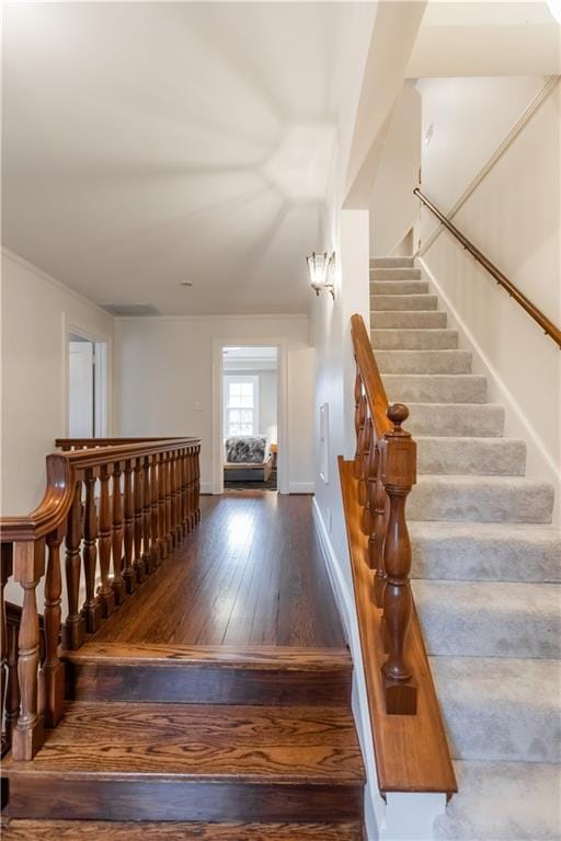 staircase featuring wood-type flooring