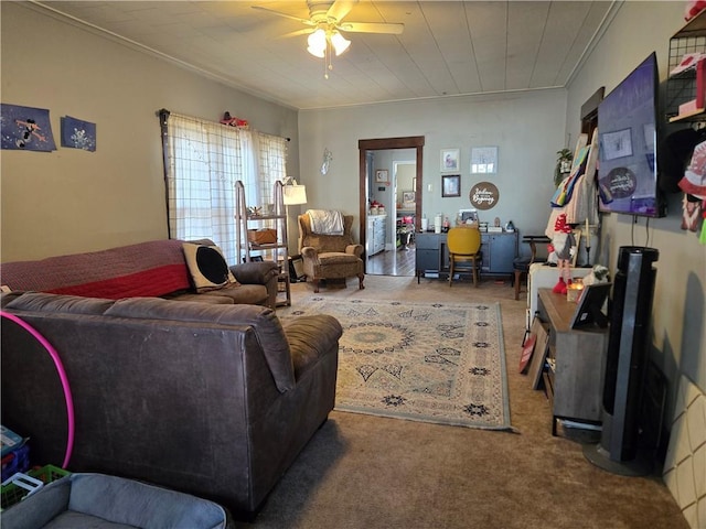 living room with ceiling fan, ornamental molding, and carpet floors