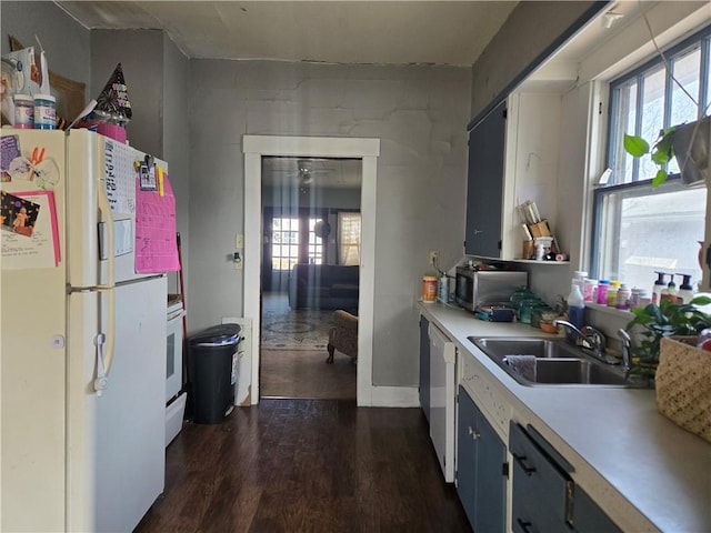 kitchen featuring sink, white appliances, and dark hardwood / wood-style floors