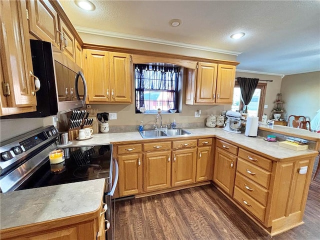 kitchen with a peninsula, appliances with stainless steel finishes, light countertops, and a sink