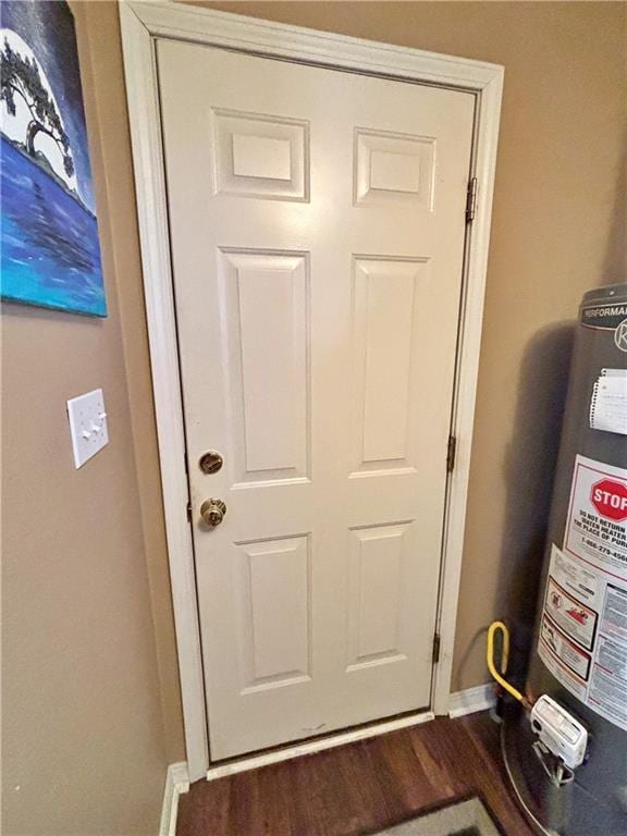 details featuring baseboards, gas water heater, and wood finished floors