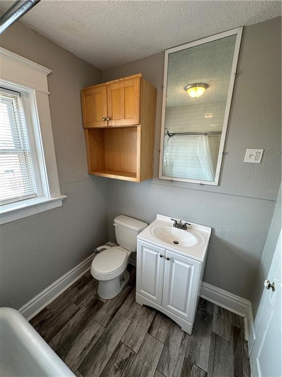 bathroom with vanity, a bath, a textured ceiling, and toilet