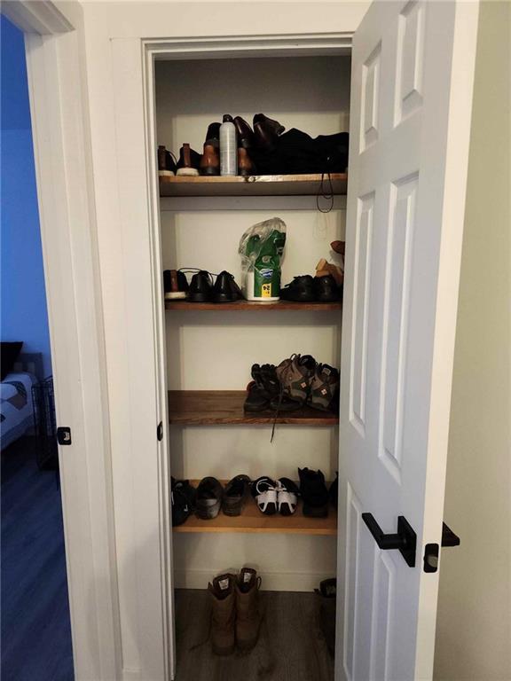 view of closet