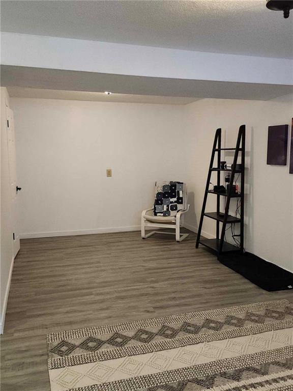 basement featuring dark hardwood / wood-style flooring