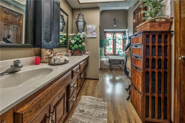 bathroom with hardwood / wood-style flooring and vanity