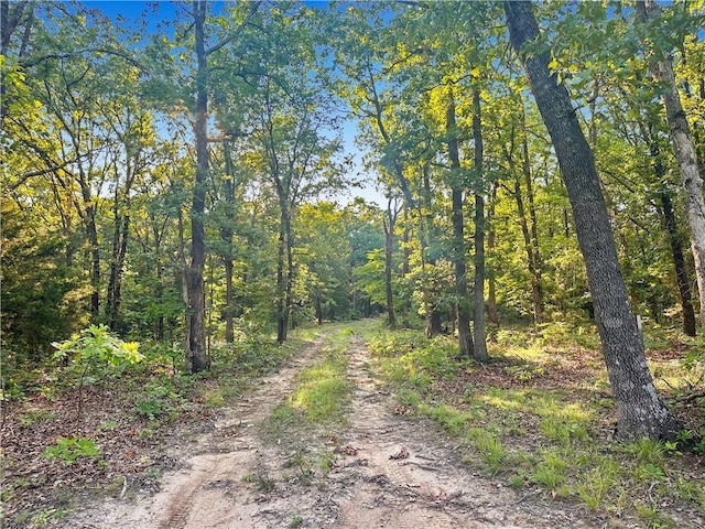 Listing photo 2 for Twin Logs Ln, Edwards MO 65326