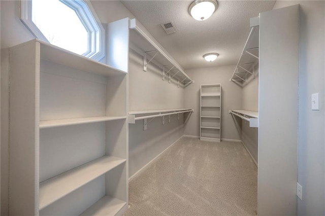 spacious closet featuring light colored carpet