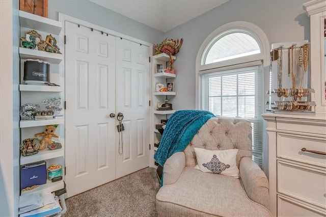 sitting room with light carpet