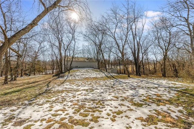 view of yard covered in snow