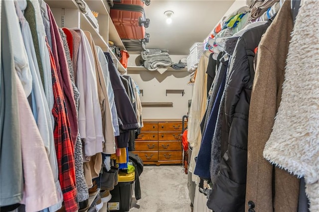 spacious closet with light carpet