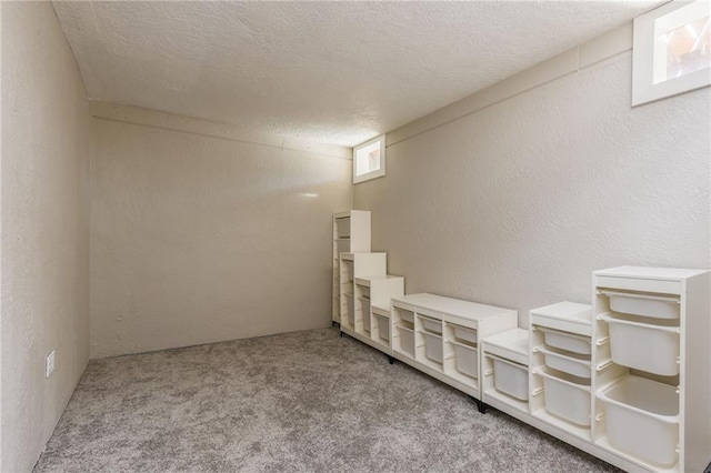 below grade area featuring carpet, a textured ceiling, and a textured wall