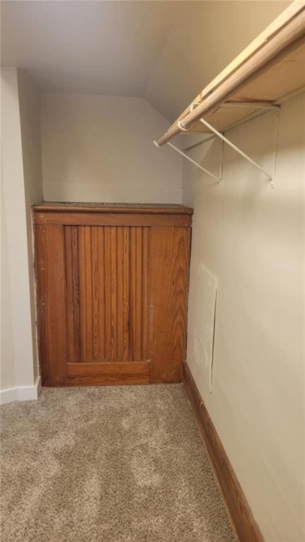 walk in closet featuring vaulted ceiling and carpet flooring