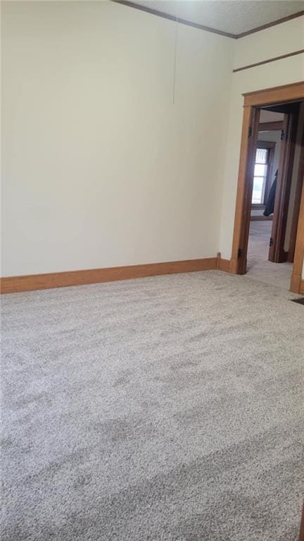 carpeted spare room featuring ornamental molding