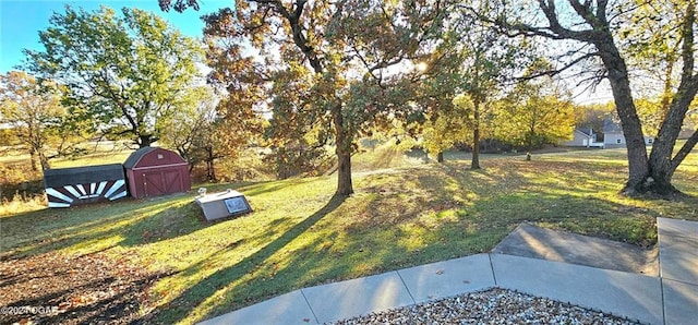 view of yard with a storage unit