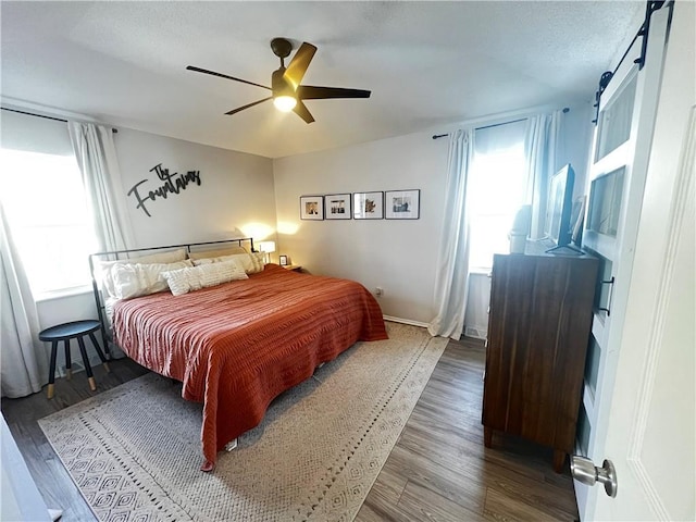 bedroom featuring ceiling fan and dark hardwood / wood-style flooring