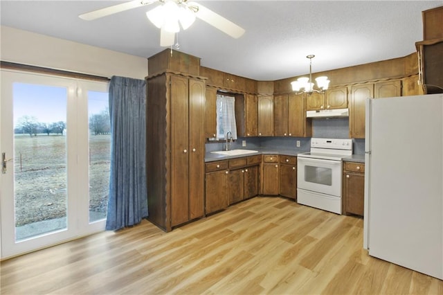 kitchen featuring sink, white appliances, ceiling fan with notable chandelier, decorative light fixtures, and light wood-type flooring