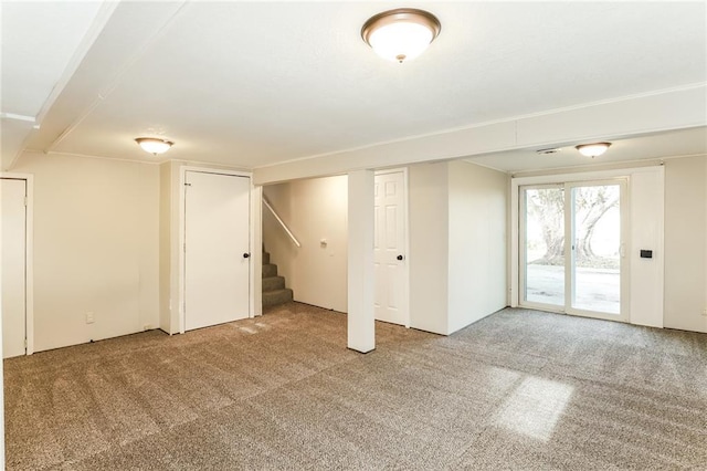 basement featuring carpet floors