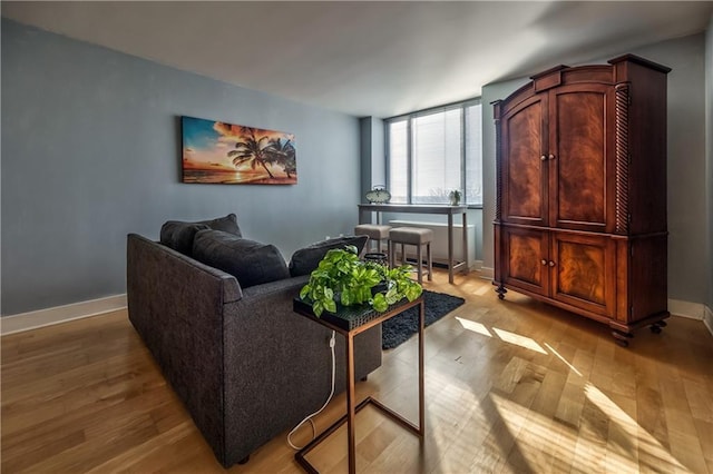 living room with light hardwood / wood-style flooring