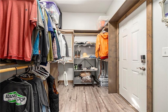 spacious closet with light wood-type flooring