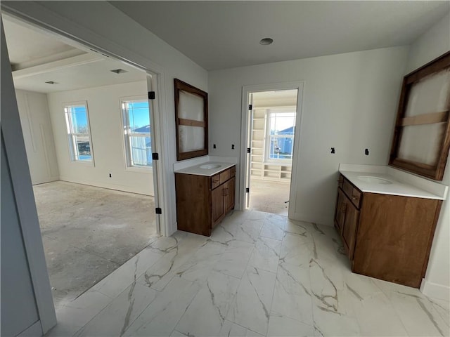 bathroom with vanity and a wealth of natural light