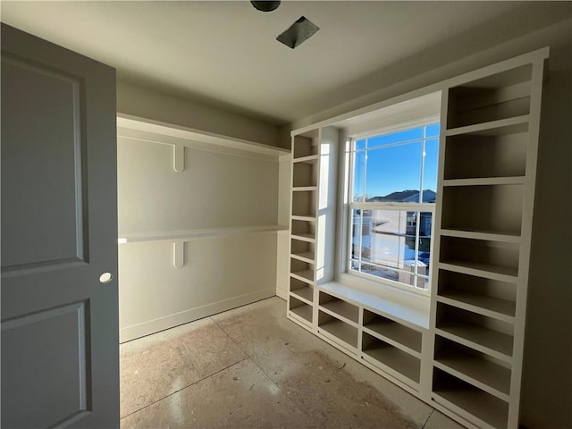 view of walk in closet