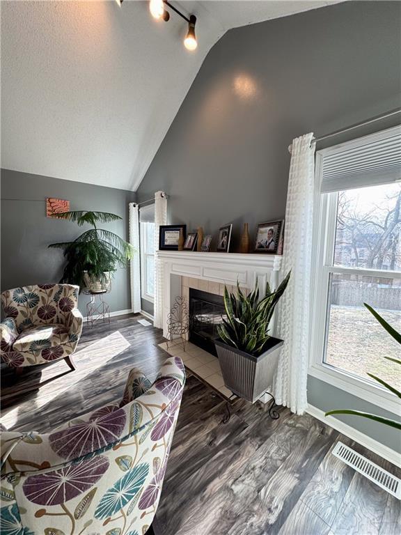 living room with hardwood / wood-style flooring, lofted ceiling, and a fireplace