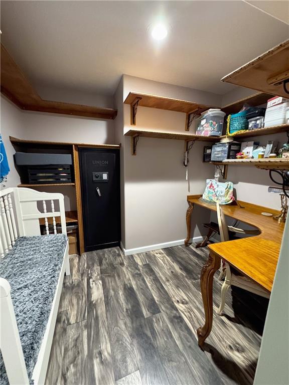 walk in closet featuring dark hardwood / wood-style floors