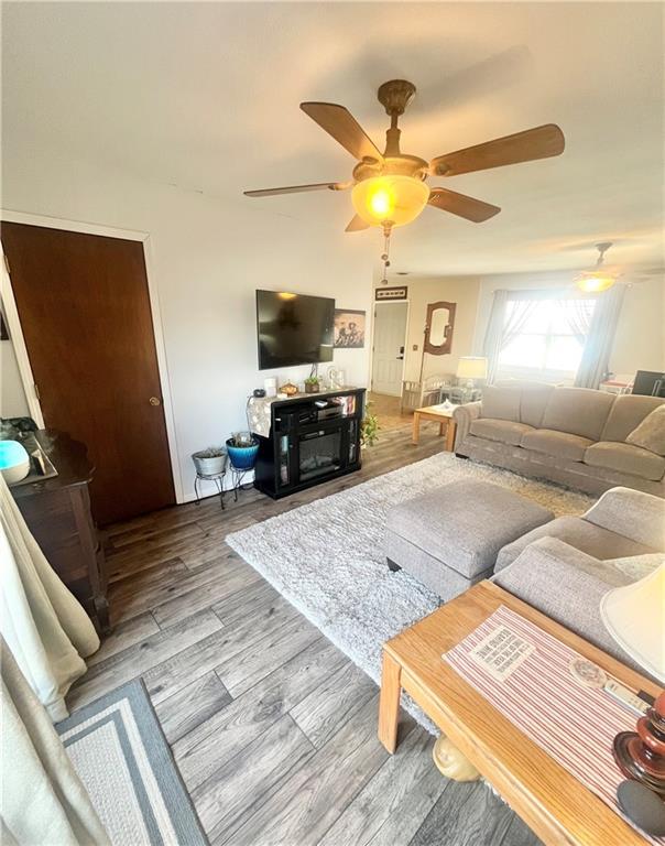 living room featuring ceiling fan and light hardwood / wood-style floors