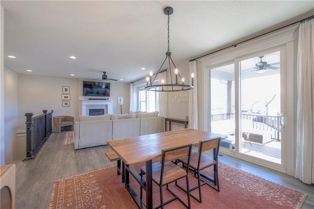dining area featuring a fireplace, ceiling fan with notable chandelier, and light wood finished floors