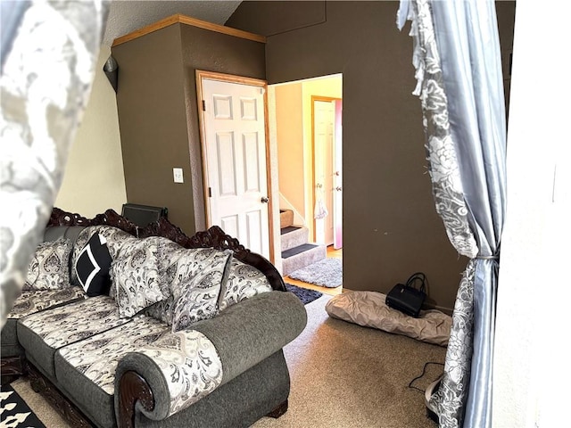 living room featuring ornamental molding, carpet flooring, and a textured ceiling