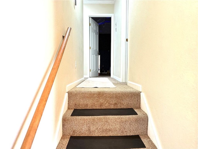 stairway featuring carpet