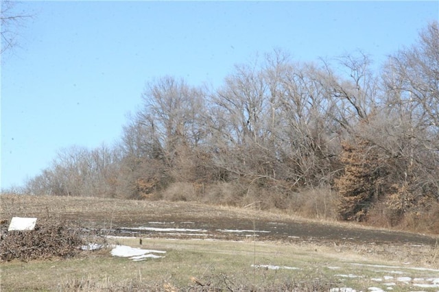 view of yard with a rural view