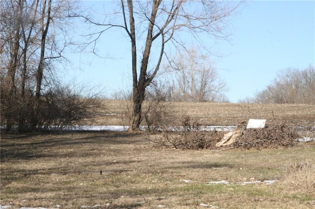 view of yard with a rural view