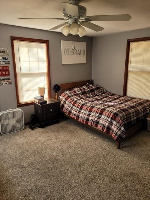 bedroom with a ceiling fan and carpet flooring