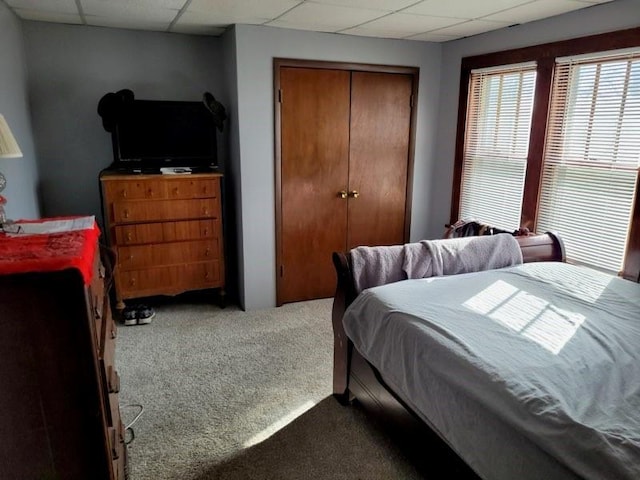 carpeted bedroom featuring a drop ceiling and a closet
