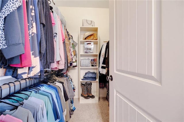 view of walk in closet