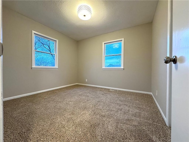 spare room with carpet floors, a textured ceiling, and a wealth of natural light