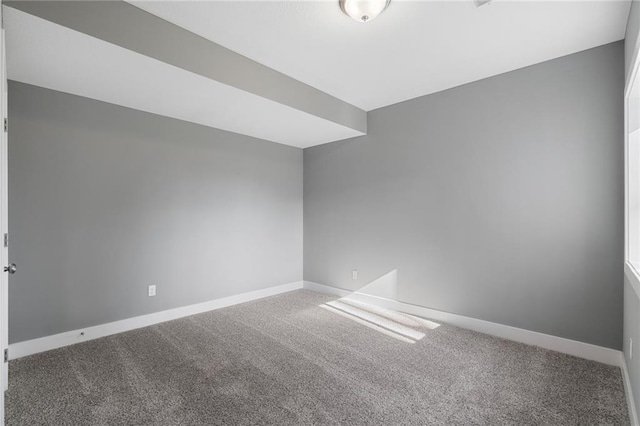 bonus room featuring carpet