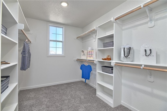 spacious closet featuring carpet floors